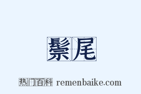 鬃尾是什么意思的图片